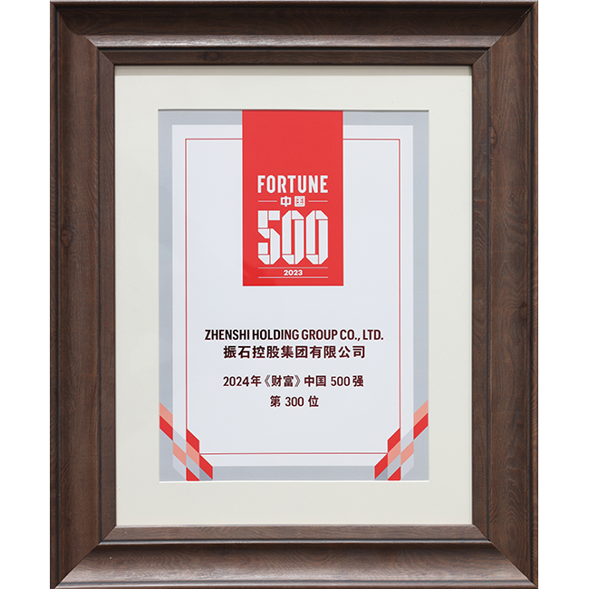 《财产》中国500强第300位